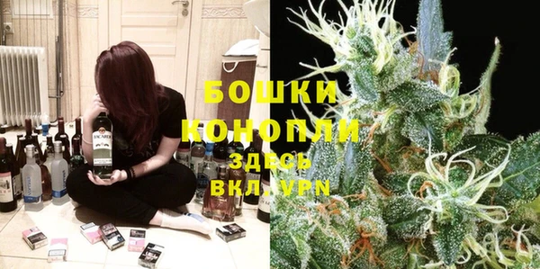 сатива Арсеньев