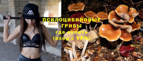 амф Алзамай