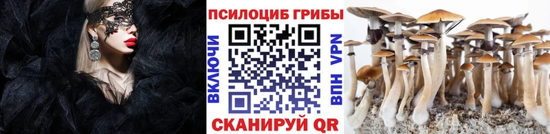 наркота  Междуреченск  ОМГ ОМГ ТОР  Псилоцибиновые грибы мухоморы 